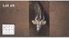 1 X NYALA M:1