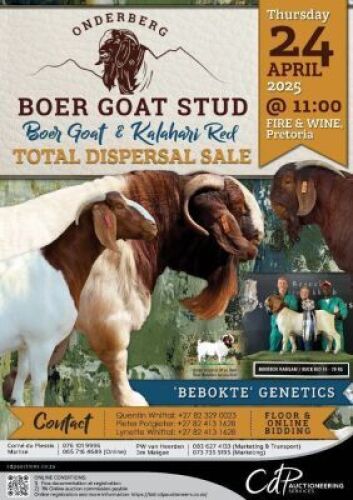 ONDERBER BOER GOAT STUD