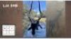 1 X SWART ROOIBOK M:1