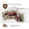 1+1X MEATMASTER Ewe + Lamb Rex Mothobi