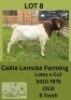 1X BOER GOAT BUCK Callie Lemcke