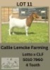 1X BOER GOAT DOE Callie Lemcke