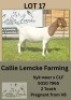 1X BOER GOAT DOE Callie Lemcke