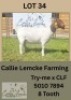 1X BOER GOAT DOE Callie Lemcke