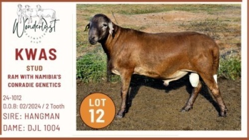 1+1X MEATMASTER Male Wonderlust Meatmaster Stud