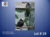 1-1 '23 Pionus: White-capped: Normal x Normal - Mark Evans
