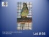 0-1 '24 Mulga Parakeet (Many-colored Parakeet): Red-bellied - Fanie Klopper