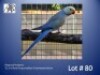 1-0 '22 Ringneck Parakeet: Violet TurquoiseBlue Clearheaded-fallow - Mike Riley