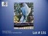 1-0 '23 Ringneck Parakeet: Blue Opaline Clearheaded-fallow - Mike Riley