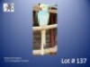1-0 '23 Ringneck Parakeet: IndigoBlue Cleartail - Jaco Rossouw
