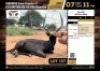 1 X BLACK IMPALA RAM M:1 V/F:0