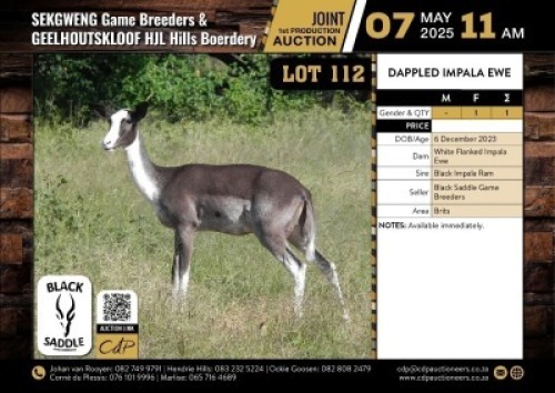1 X DAPPLED IMPALA EWE M:0 V/F:1