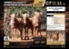 3 X GOLDEN WILDEBEEST HEIFERS M:0 V/F:3 (Per Piece to take the lot/Per stuk om lot te neem)
