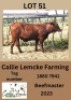 1X BEEFMASTER HEIFER Callie Lemcke