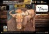 1 X GOLDEN WILDEBEEST BULL M:1 V/F:0