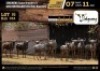 6 X BLUE WILDEBEEST FAMILY GROUP M:2 V/F:4 (Per Piece to take the lot/Per stuk om lot te neem)
