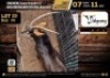 1 X SABLE BULL M:1 V/F:0