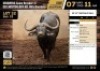 1 X BUFFALO BULL M:1 V/F:0