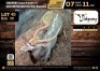 1 X NYALA BULL M:1 V/F:0