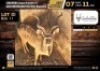 1 X KUDU BULL M:1 V/F:0