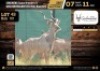 1 X KUDU BULL M:1 V/F:0