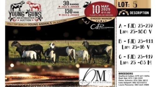 1+1X MEATMASTER RECORDED EWE Delport Meatmasters