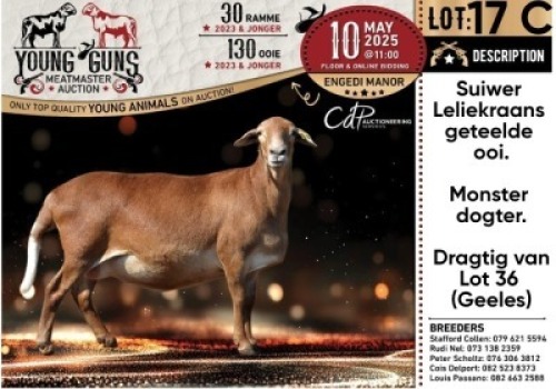 1+1X MEATMASTER RECORDED EWE Nelru Meatmasters