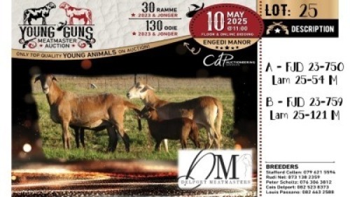 1+1X MEATMASTER RECORDED EWE Delport Meatmasters