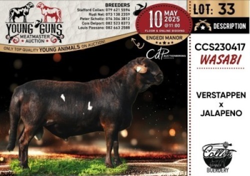 1X MEATMASTER RECORDED RAM Collen Boerdery