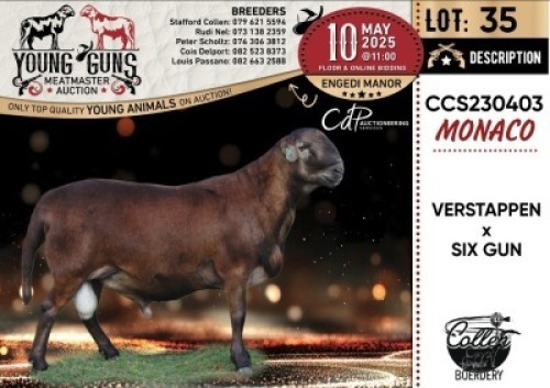 1X MEATMASTER RECORDED RAM Collen Boerdery