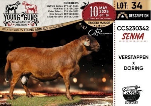 1X MEATMASTER RECORDED RAM Collen Boerdery