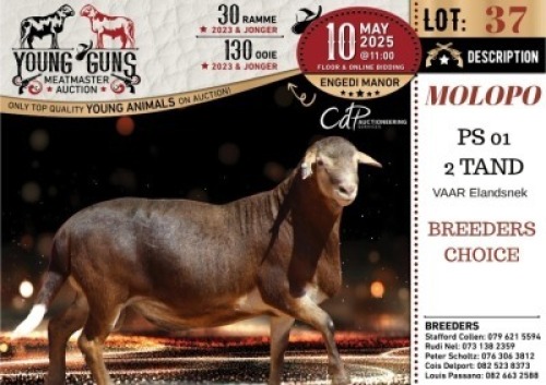 1X MEATMASTER NOT RECORDED RAM Vrede Meatmasters