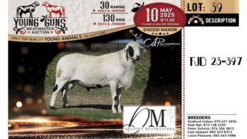 1X MEATMASTER RECORDED RAM Delport Meatmasters