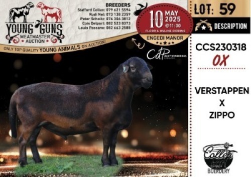 1X MEATMASTER RECORDED RAM Collen Boerdery