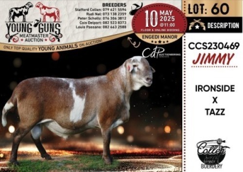 1X MEATMASTER RECORDED RAM Collen Boerdery
