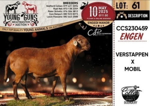 1X MEATMASTER RECORDED RAM Collen Boerdery