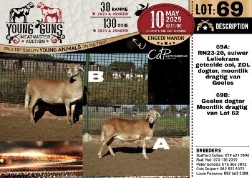 1X MEATMASTER RECORDED EWE Nelru Meatmasters