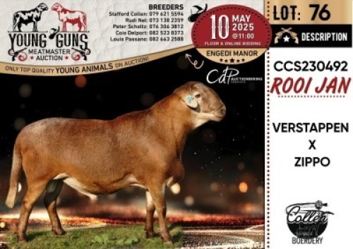 1X MEATMASTER RECORDED RAM Collen Boerdery