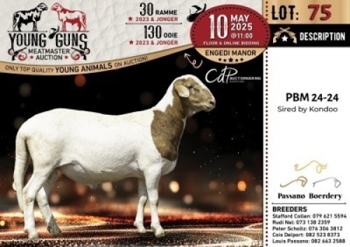 1X MEATMASTER NOT RECORDED RAM Passano Boerdery