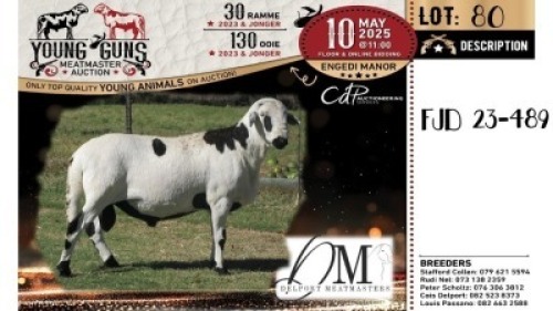 1X MEATMASTER RECORDED RAM Delport Meatmasters