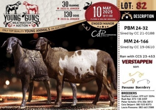1X MEATMASTER NOT RECORDED EWE Passano Boerdery