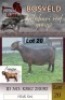 1X KALAHARI RED FLOCK 48-452 DOE Arragon