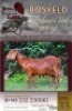 1X KALAHARI RED FLOCK 38-567 DOE Buffelspruit Stoetery