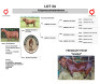 1X KALAHARI RED FLOCK 38-869 DOE Buffelspruit Stoetery - 2