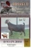 1X KALAHARI RED STUD 48-479 DOE Arragon