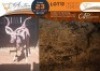 1 X Kudu M:1 Legend Wildlife - 2