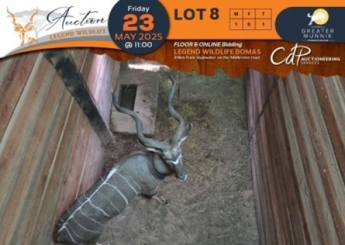1 X Kudu M:1 Greater Munnik Conservancies Plaas: Wilgebos