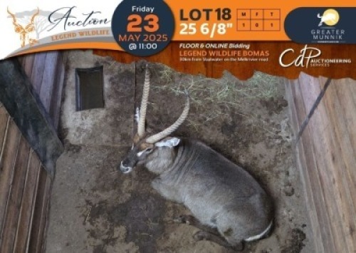 1 X 25 6/8" Waterbuck M:1 Greater Munnik Conservancies Plaas: Dikgale