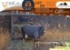 1 X Nyala M:1 Waterberg Game Breeders