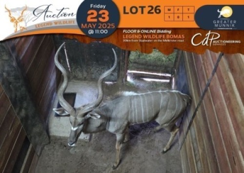 1 X Kudu M:1 Greater Munnik Conservancies Plaas: Dikgale